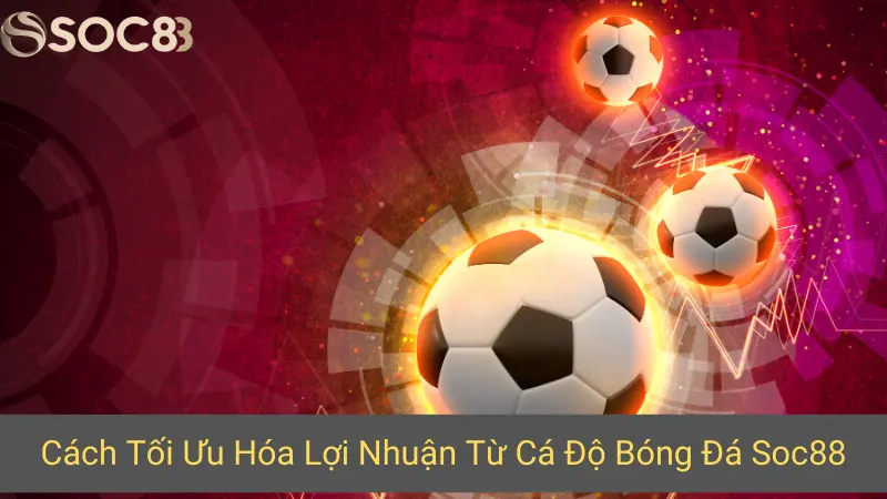 Cách Tối Ưu Hóa Lợi Nhuận Từ Cá Độ Bóng Đá Soc88