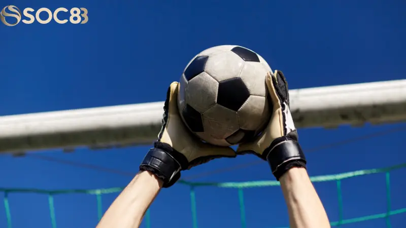 Chiến lược cá độ hiệu quả