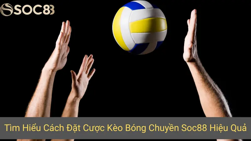 Tìm Hiểu Cách Đặt Cược Kèo Bóng Chuyền Soc88 Hiệu Quả