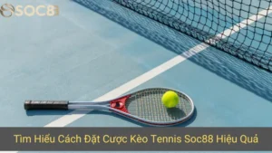Tìm Hiểu Cách Đặt Cược Kèo Tennis Soc88 Hiệu Quả