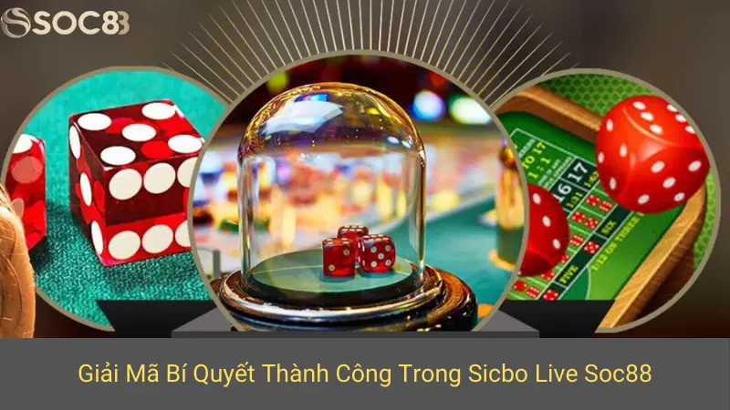 Giải Mã Bí Quyết Thành Công Trong Sicbo Live Soc88