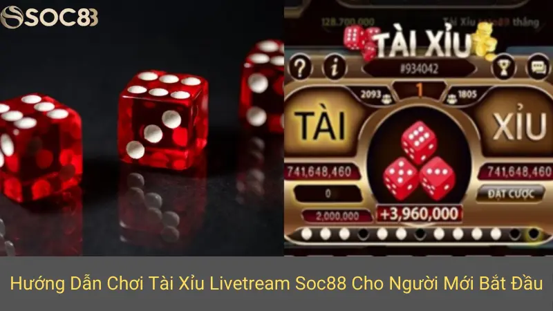 Hướng Dẫn Chơi Tài Xỉu Livetream Soc88 Cho Người Mới Bắt Đầu