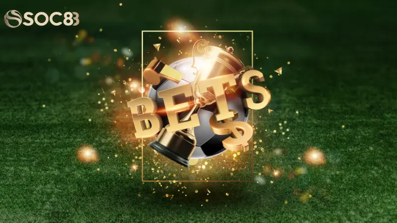 Cách xác minh tài khoản sau khi Soc88 bị sập